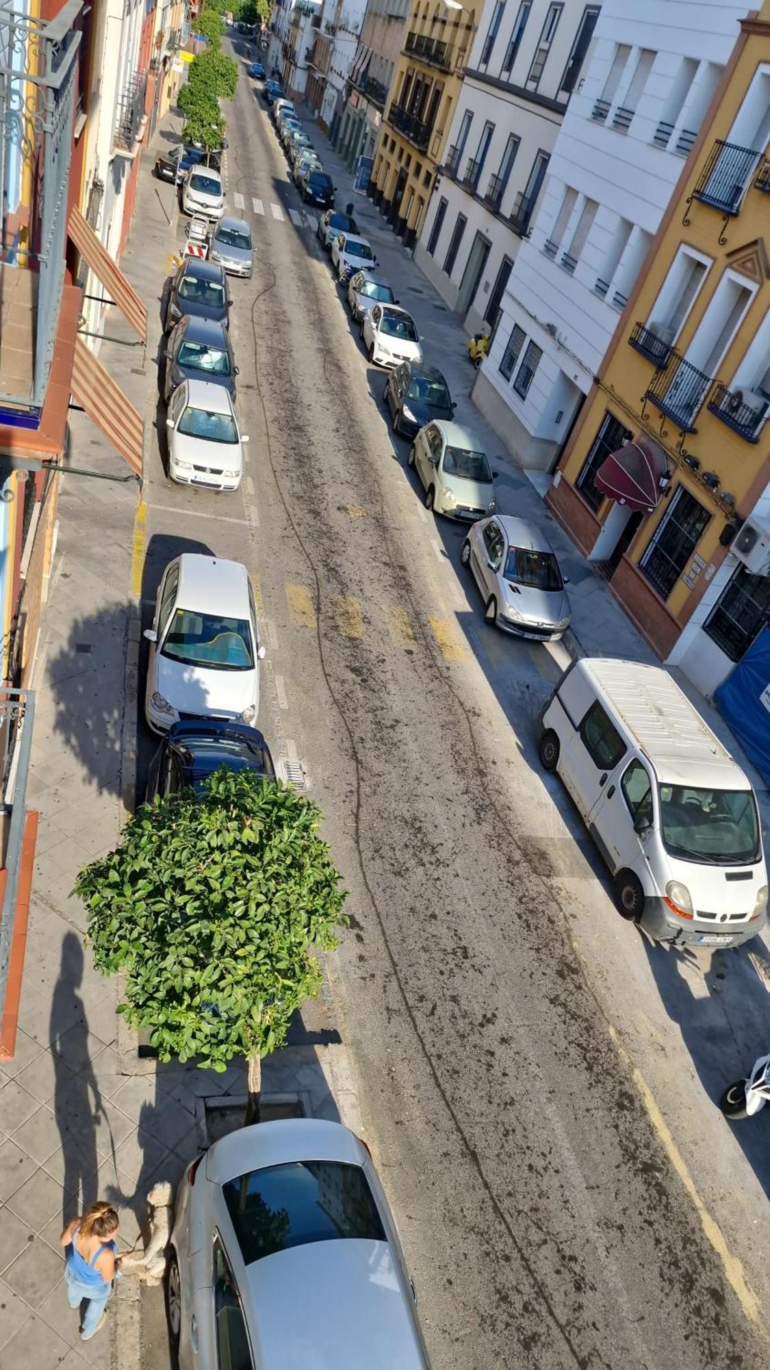 Castilla Del Cachorro, Apto De 2 Dormitorios En Triana Sevilla Bagian luar foto
